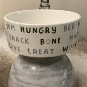 Pet Food Bowl